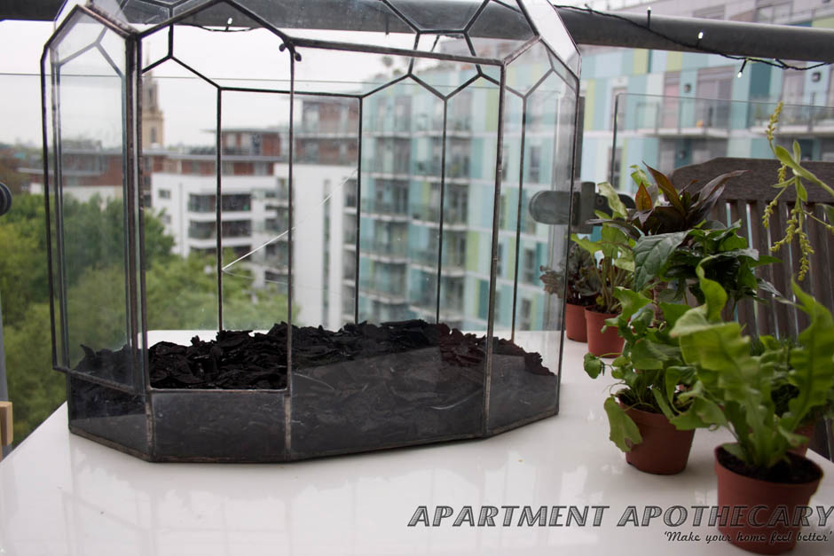 How to plant a Victorian terrarium How to plant a Victorian terrarium