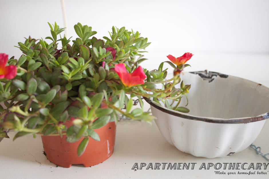 DIY hanging basket made from vintage jelly mould DIY hanging basket made from vintage jelly mould