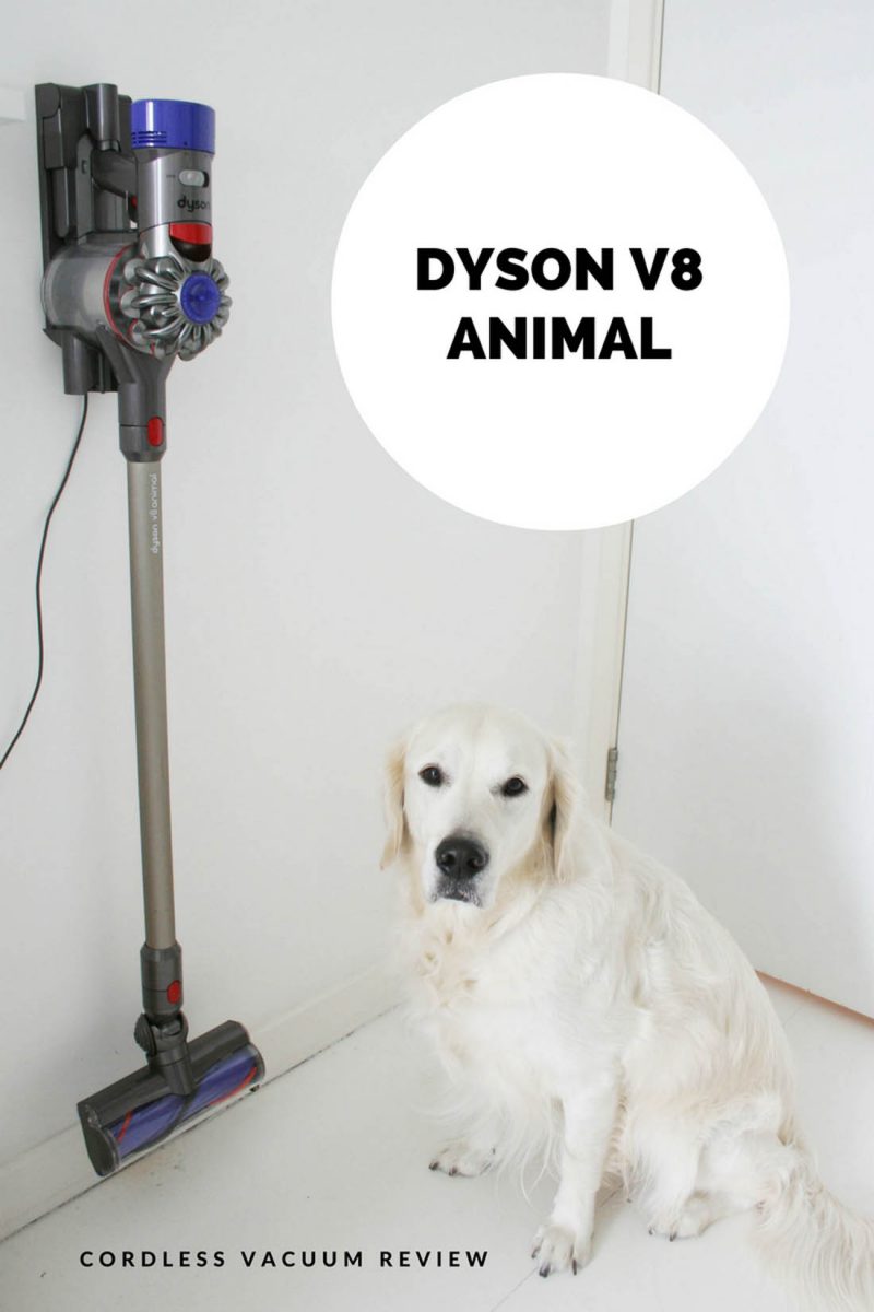 Dyson V8 Animal cordless vacuum review Apartment Apothecary