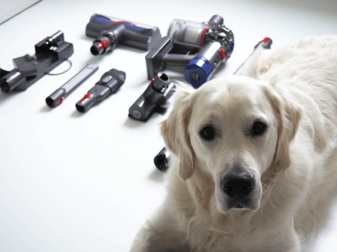 Dyson V8 Animal cordless vacuum review Apartment Apothecary