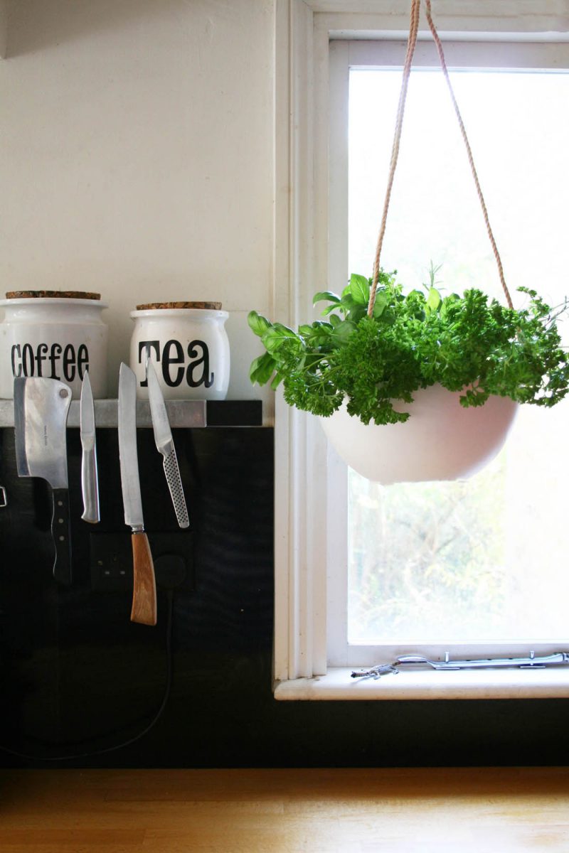 Green fingers with Homesense this Spring Apartment Apothecary