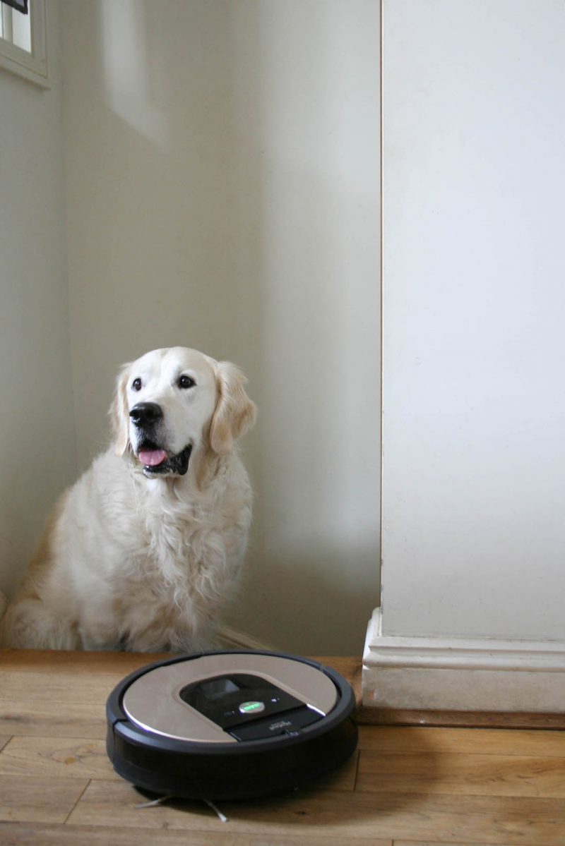 iRobot Roomba 966 vacuum review does it really work? Apartment