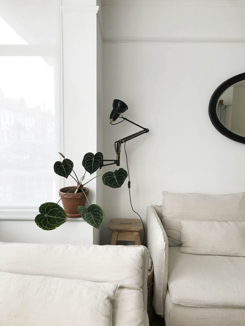 Living room window corner Apartment Apothecary